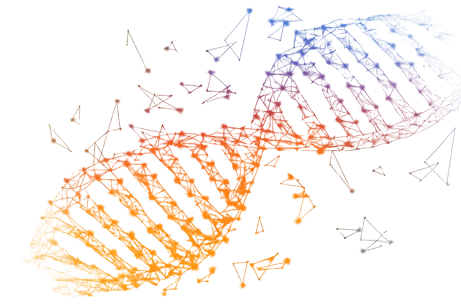 Portfolio DNA